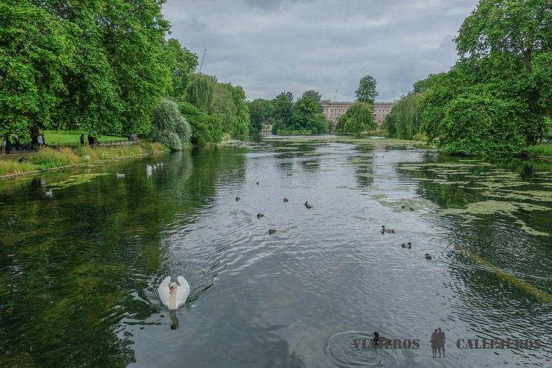 St James's Park que visitar en Londres