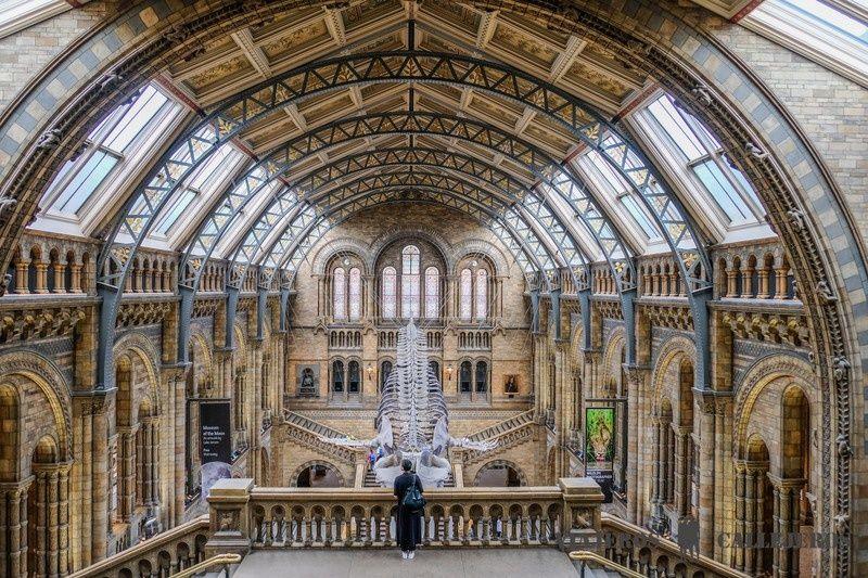 Museo de Historia Natural que ver en londres