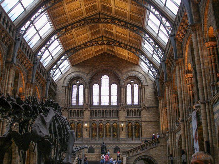 Museo de Historia Natural